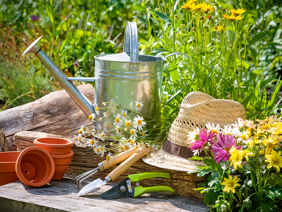 Active Adults Prepare to PLANT!