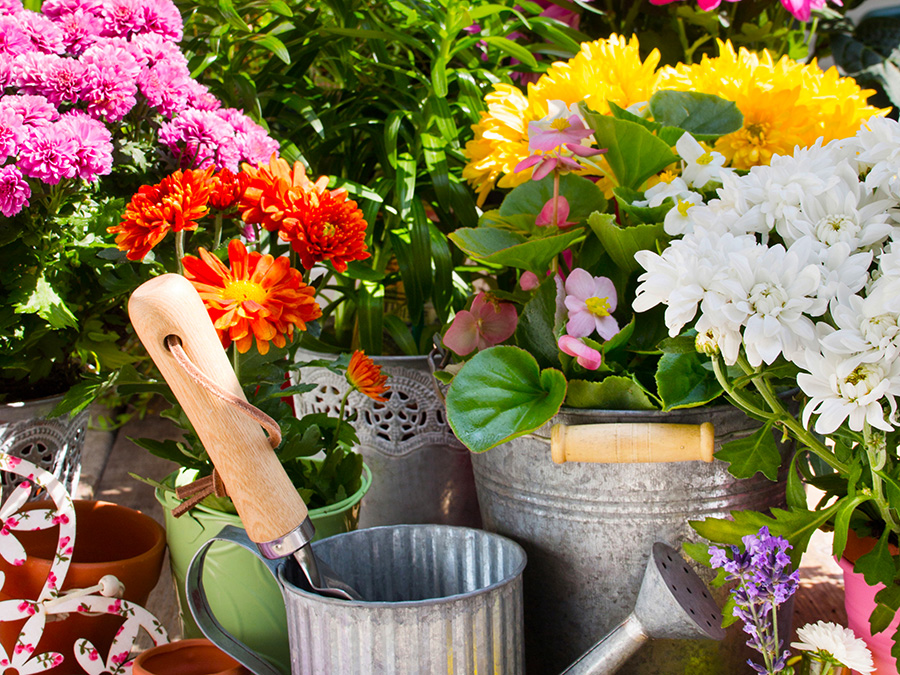 Gardening time in Georgia